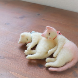 羊毛◆なかよし猫★白桃　Φ13.5cm 3枚目の画像