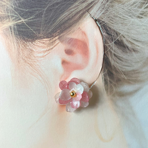 本物のお花♡イヤカフとピアスorイヤリング ホワイトピンク紫陽花 