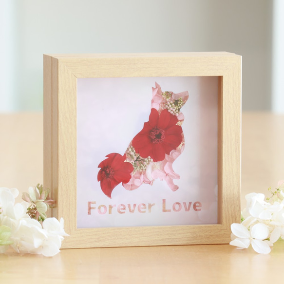 日本スピッツのミックス犬のラブちゃんのプリザーブドフラワーお花