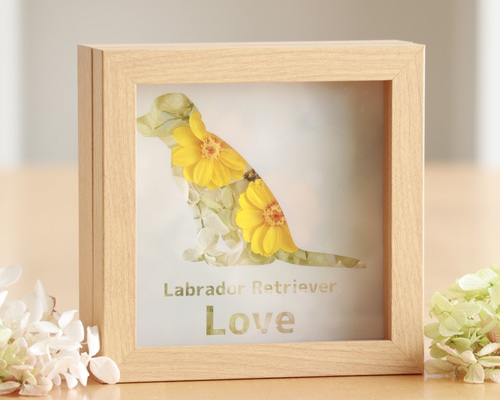 0_a10384ea63dc6eb2678c908d9356