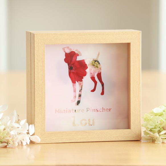 花と犬》ミニチュア・ピンシャーのシルエットとプリザーブドフラワーの