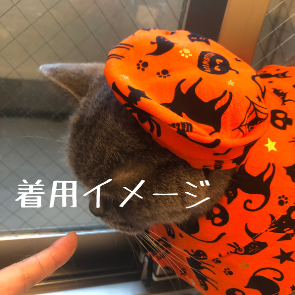 猫用 小型犬用 マント(襟)Aタイプ・ベレー帽セット ハロウィン柄① 5枚目の画像