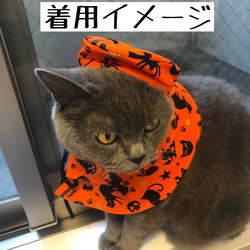 猫用 小型犬用 マント(襟)Aタイプ・ベレー帽セット ハロウィン柄① 6枚目の画像