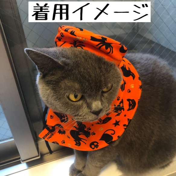 猫用 小型犬用 マント(襟)Aタイプ・ベレー帽セット ハロウィン柄① 6枚目の画像