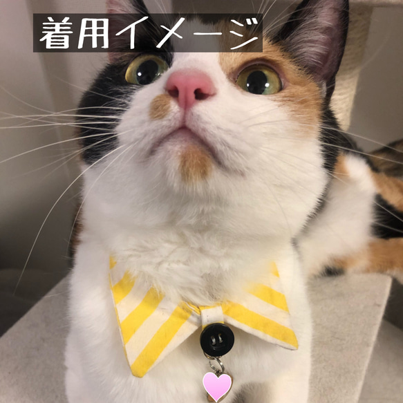 首輪 猫用 ハロウィン柄② 襟タイプ Sサイズ(小型犬・うさぎなどの小動物も可) 5枚目の画像