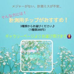 乳白色×オーロララメシェル使用ネイルチップ　ブライダルや成人式に♪チップサイズ変更無料/ネイリスト作成 7枚目の画像