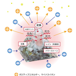  第8張的照片