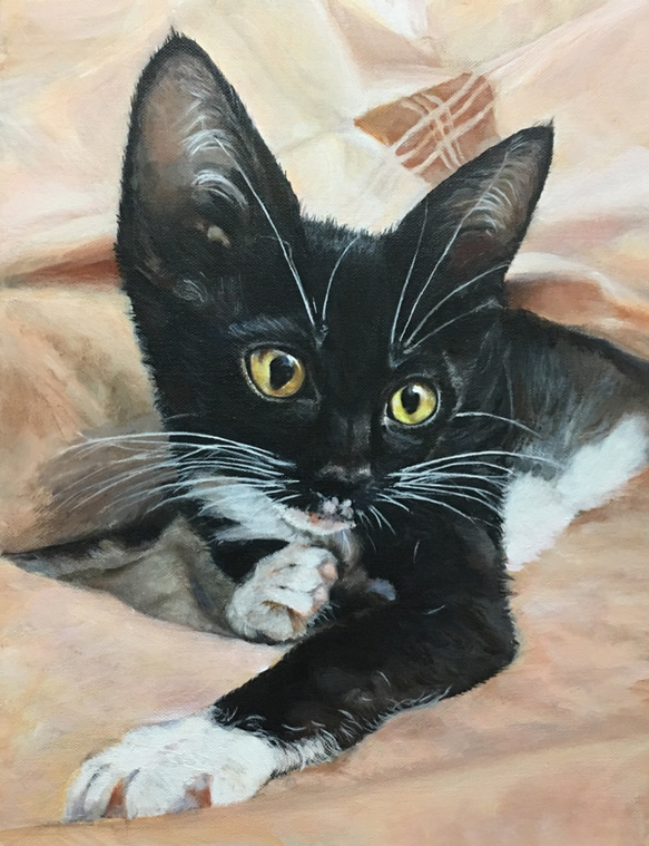 ［客製手繪貓咪］30 x 40cm 為歌頌主子的肖像畫（壓克力彩／油彩) 第2張的照片