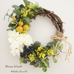 ✼ドライフラワースワッグ✼【リューカデンドロン】 ドライフラワー