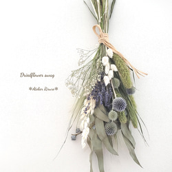 ✼ドライフラワースワッグ✼【リューカデンドロン】 ドライフラワー