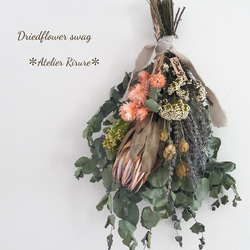 ✼ドライフラワースワッグ✼【リューカデンドロン】 ドライフラワー