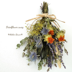 ✼ドライフラワースワッグ✼【リューカデンドロン】 ドライフラワー