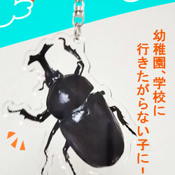 めぐみ　ジャポニカ　キーホルダー　カブトムシ　新品 めぐみ ジャポニカ キーホルダー カブトムシ 新品 Amazon.co.jp