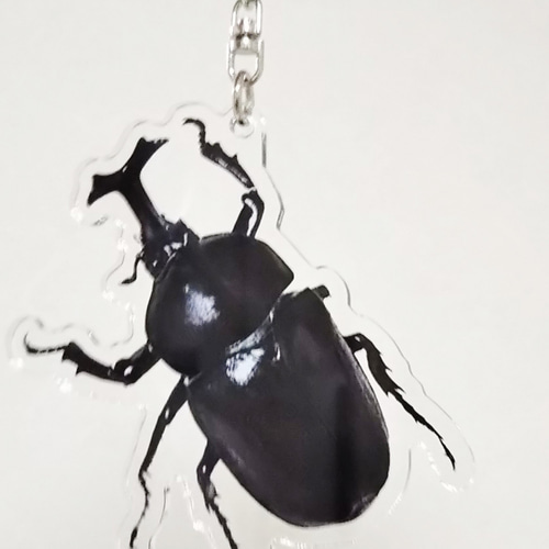 カブトムシ キーホルダー その他携帯アクセサリー アスター 通販