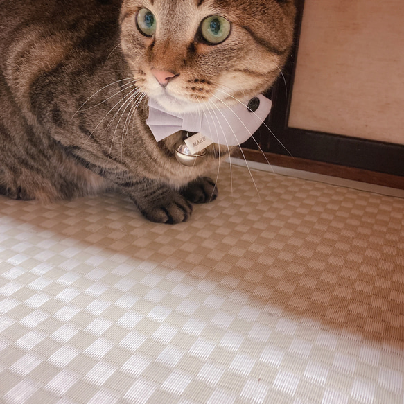 猫の首輪リボン　おさかなさんリボンネクタイ　ギンガム 7枚目の画像