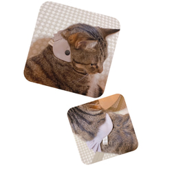 猫の首輪リボン　おさかなさんリボンネクタイ　ギンガム 8枚目の画像