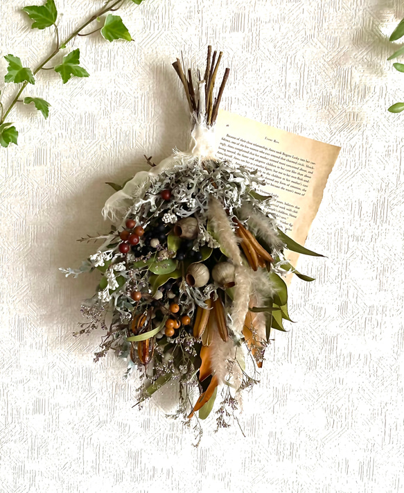 ドライフラワー❇️ベルガムナッツ❣️木の実 by フラワー