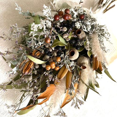 ドライフラワー❇️ベルガムナッツ❣️木の実 木の実❣️ベルガムナッツ❇️ドライフラワー 木の実