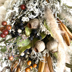 【再販、受注制作】ベルガムナッツとグレピレアゴールド＆木の実のネイティブフラワーの秋のスワッグ 6枚目の画像