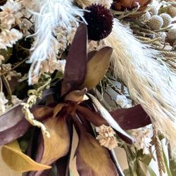 グラビレアゴールドとパンパングラス& リューカデンドロンと木の実などのネイティブフラワーの秋のスワッグ【L】 5枚目の画像