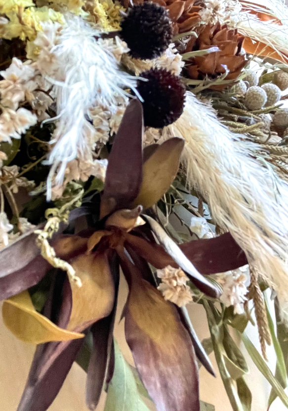 グラビレアゴールドとパンパングラス& リューカデンドロンと木の実などのネイティブフラワーの秋のスワッグ【L】 5枚目の画像