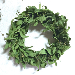 1_22e6f1c05ed89d1afe7b53a4dfaf