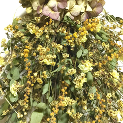 ノスタルジックなユーカリ&ミモザ、秋紫陽花のスワッグ【LL】 4枚目の画像