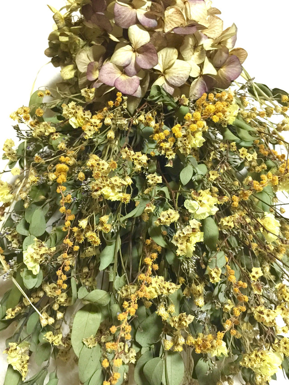 ノスタルジックなユーカリ&ミモザ、秋紫陽花のスワッグ【LL】 4枚目の画像