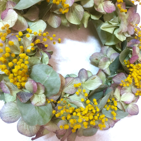【再販、受注制作】ミモザ&紫陽花とポポラスユーカリWreath 2枚目の画像