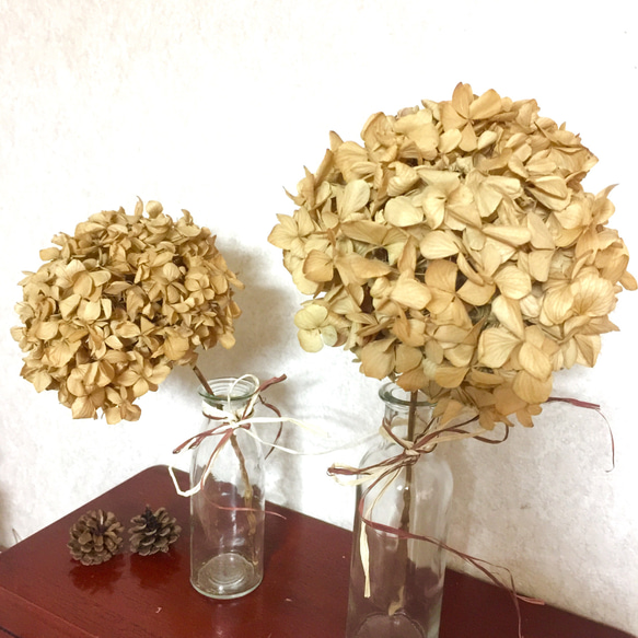 【再販】L&Mサイズヘッド茎付きナチュラル&アンティーク紫陽花のドライフラワー2本 2枚目の画像