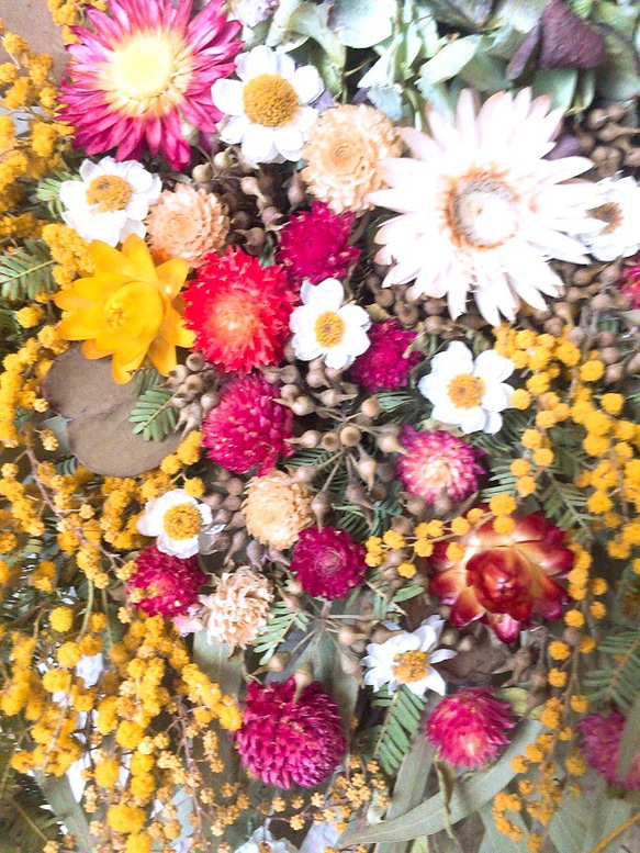 ❬ 再販、受注制作 ❭ミモザとユーカリ&紫陽花とヘリクリサムのスワッグ 2枚目の画像