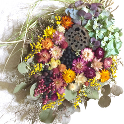 【再販、受注制作】紫陽花とミモザ&ポポラスユーカリとヘリクリサムの春のスワッグ 2枚目の画像