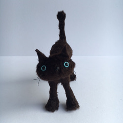 minimini cat （DBR）ダークブラウン 1枚目の画像