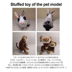 受注制作 model is your DOG ：）愛犬モデルぬいぐるみ/オーダーメイド 5枚目の画像