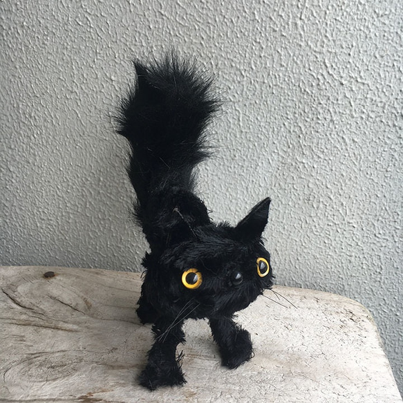 Surprised cat BK (S) ビックリ猫 受注制作（猫ぬいぐるみ