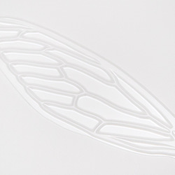 せみうちわ透明 cicada fan clear 5枚目の画像