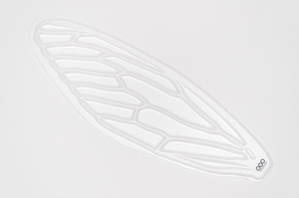 せみうちわ透明 cicada fan clear 5枚目の画像