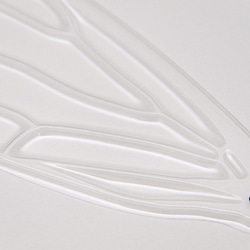 せみうちわ透明 cicada fan clear 6枚目の画像