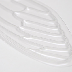 せみうちわ透明 cicada fan clear 7枚目の画像