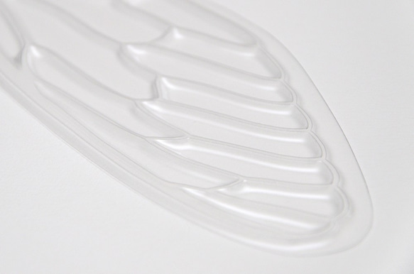 せみうちわ透明 cicada fan clear 7枚目の画像