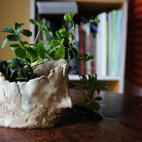 CZ メセカ　哲学者 CZ 10周年 メセカ 哲学者 哲学 (@Tetsugaku) / X