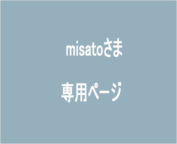 misatoさま専用ページ 1枚目の画像