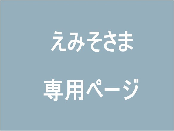 えみそさま専用ページ 1枚目の画像