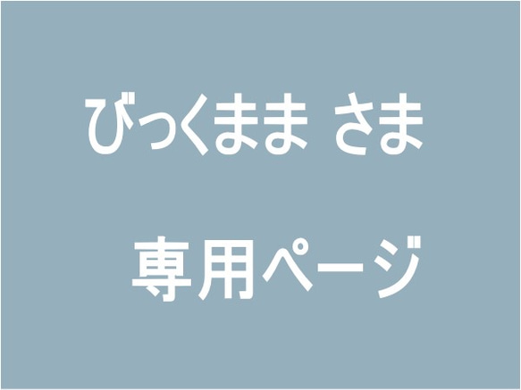 びっくままさま専用ページ 1枚目の画像