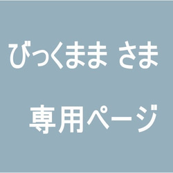 びっくままさま専用ページ 1枚目の画像