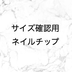 サイズ確認用 ネイルチップ 1枚目の画像