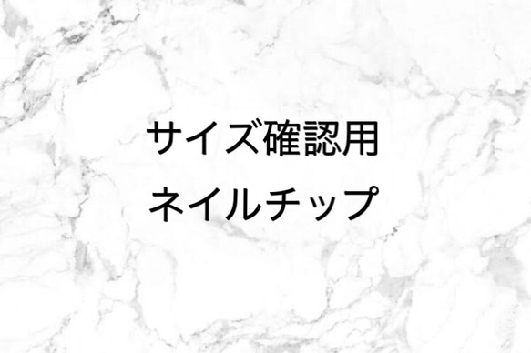 サイズ確認用 ネイルチップ 1枚目の画像