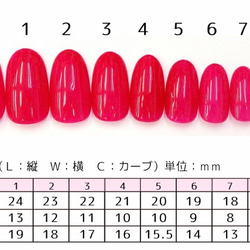 サイズ確認用 ネイルチップ 2枚目の画像