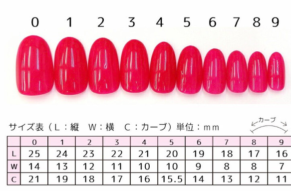 サイズ確認用 ネイルチップ 2枚目の画像