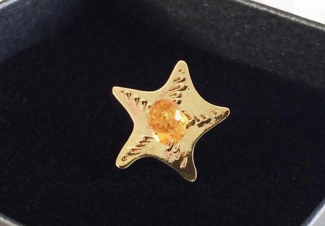 ヒトデの赤ちゃん☆シトリン　真鍮ピンズ 6,864円
